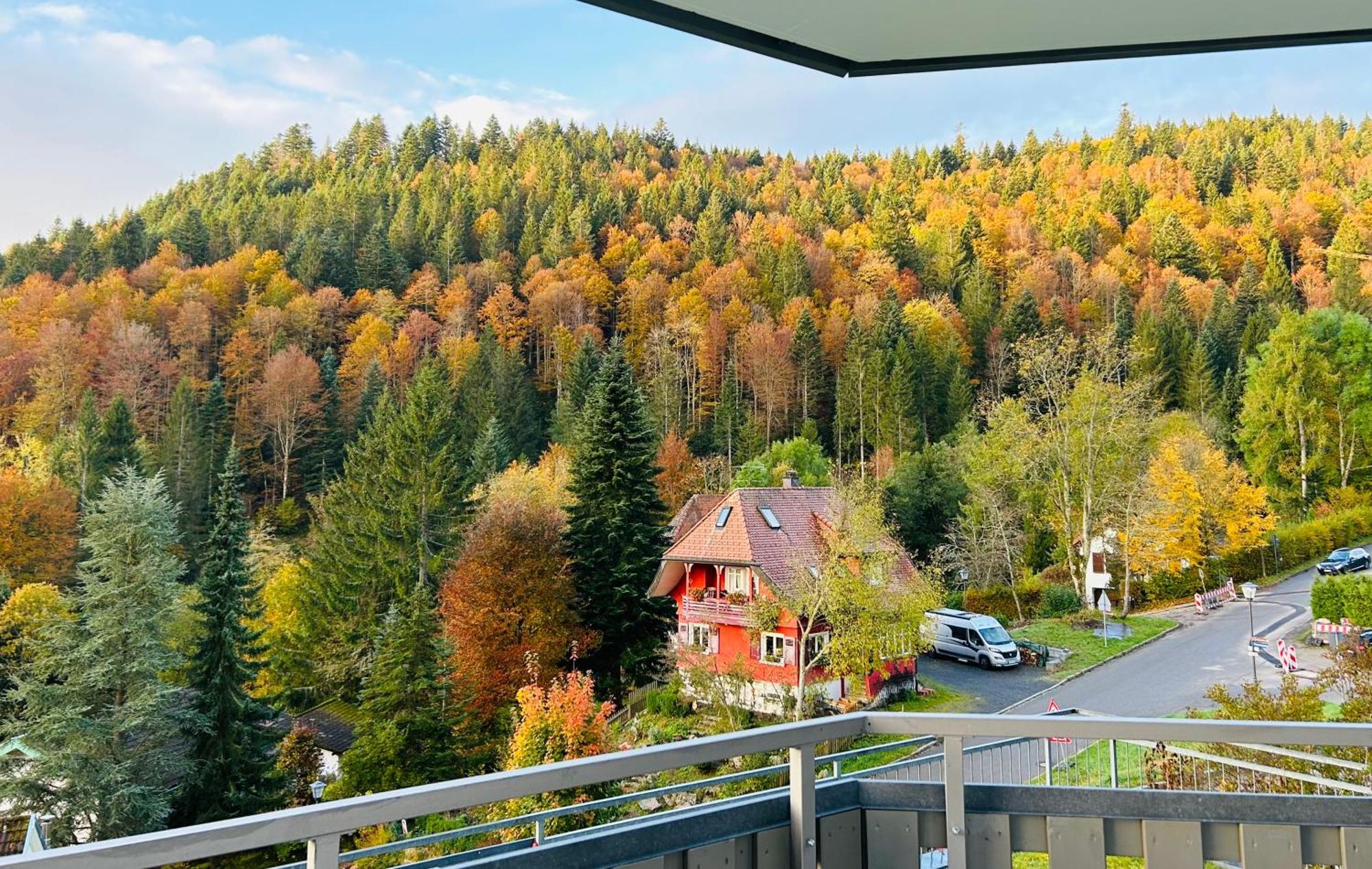 Ferienwohnung Panoramablick - Super Fuer Deine Familie Und Die Besten Aussicht In Ganz Todtmoos Εξωτερικό φωτογραφία