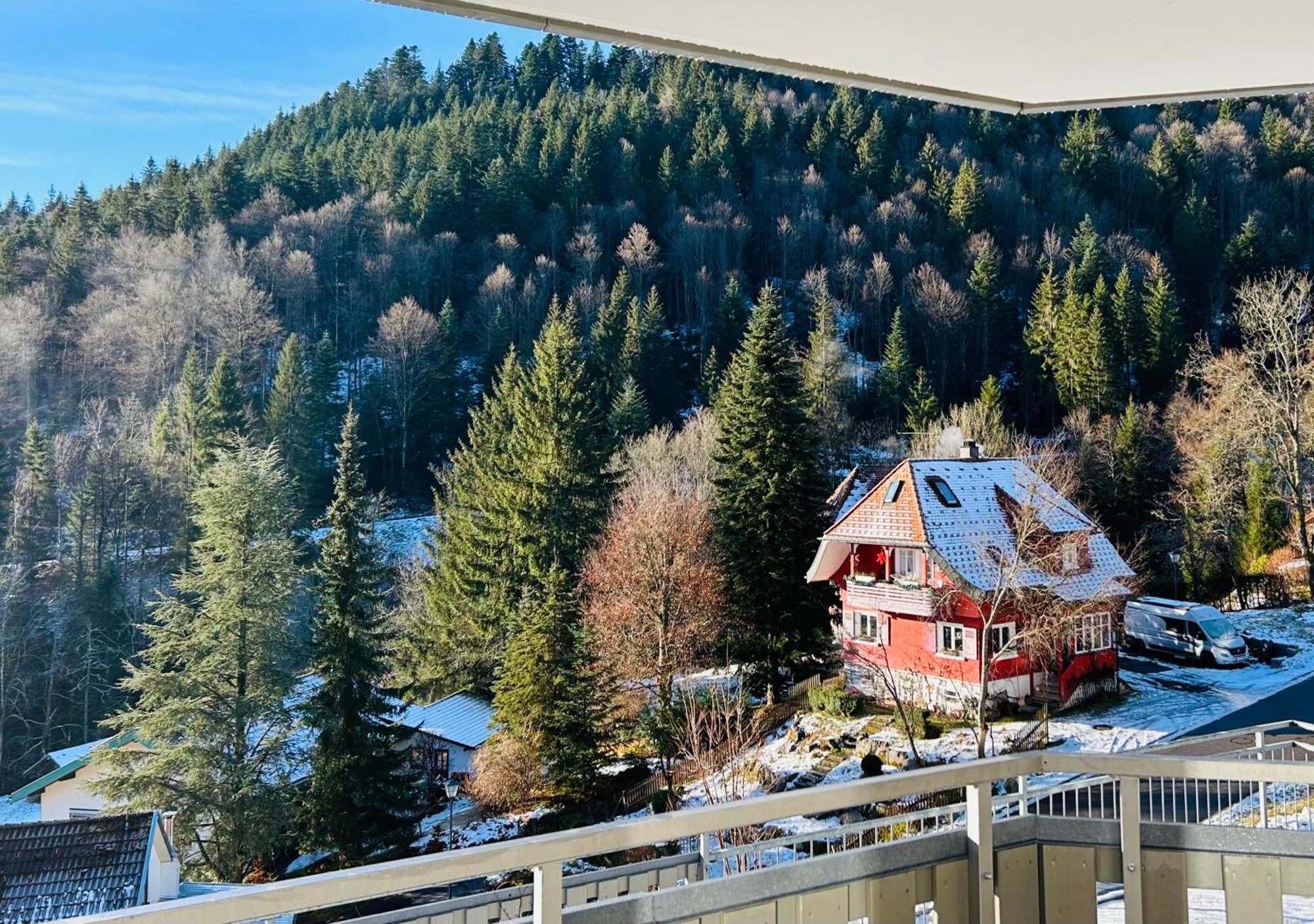Ferienwohnung Panoramablick - Super Fuer Deine Familie Und Die Besten Aussicht In Ganz Todtmoos Εξωτερικό φωτογραφία