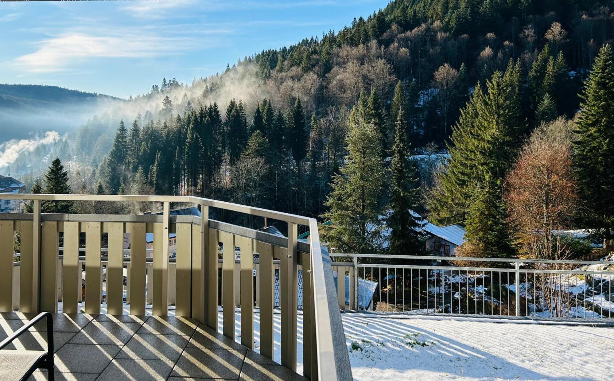 Ferienwohnung Panoramablick - Super Fuer Deine Familie Und Die Besten Aussicht In Ganz Todtmoos Εξωτερικό φωτογραφία